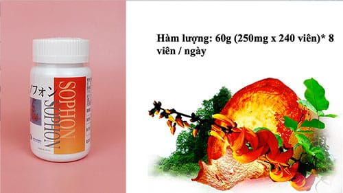 Sophon, sinh lý nam, sinh lý nữ, sức khoẻ tình dục, Sức khoẻ sinh sản,